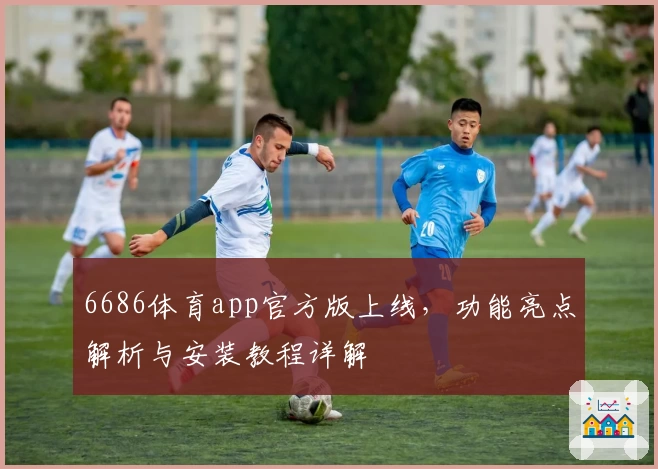 6686体育app官方版上线，功能亮点解析与安装教程详解