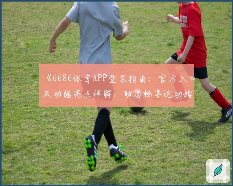 《6686体育APP登录指南：官方入口及功能亮点详解，助您畅享运动精彩》