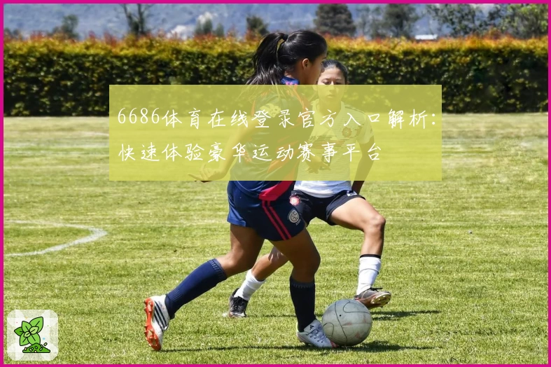 6686体育在线登录官方入口解析:快速体验豪华运动赛事平台